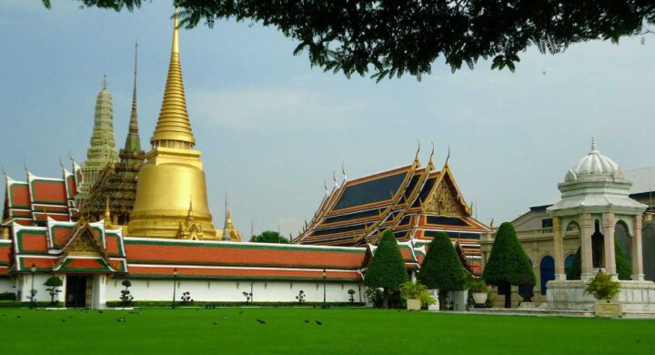 Covid-19 Grace Period for Intellectual Property (IP) related Prosecution