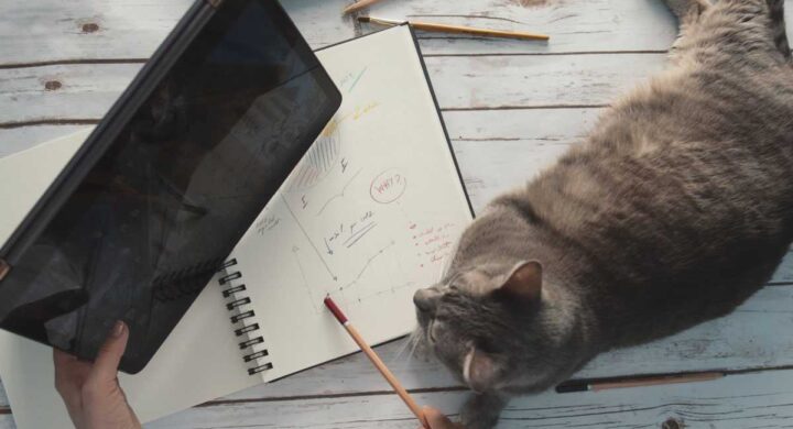 Thailand COVID-19 Related Tax & Relief Policies