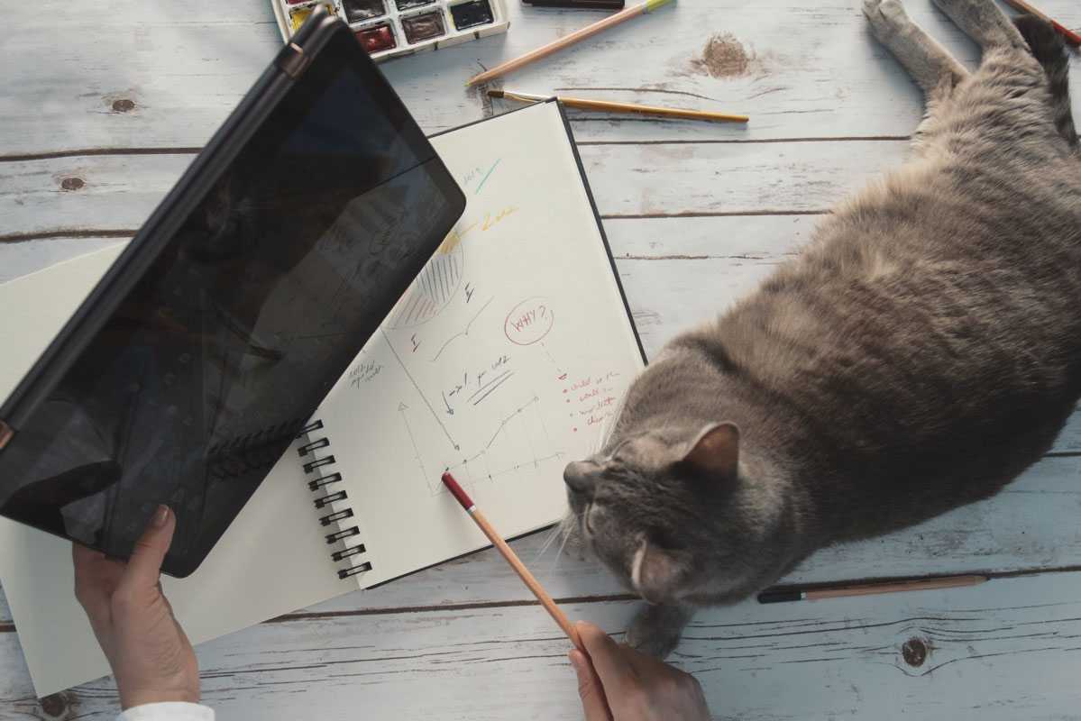 Thailand COVID-19 Related Tax & Relief Policies