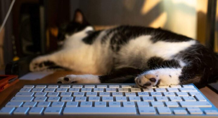 Thailand: First Action Fast Track Trademark Filing System