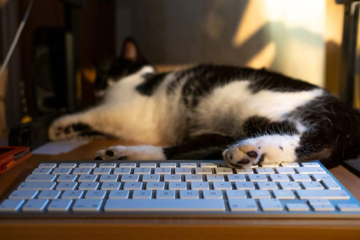 Thailand: First Action Fast Track Trademark Filing System